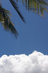 Image showing White Cumulus Clouds