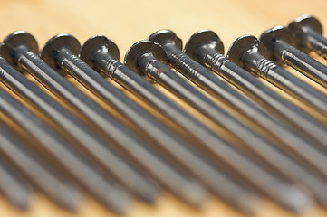 Image showing Macro of Nails on Wood