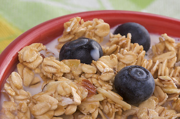 Image showing Bowl of Granola and Boysenberries in Milk