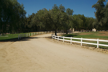 Image showing Country road and meadow.