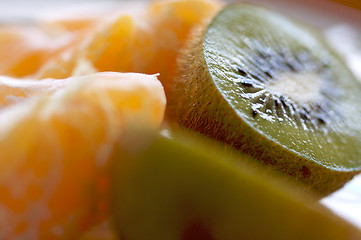 Image showing Kiwi and Clementine Tangerines