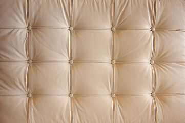 Image showing Comfortable Buttoned Leather Pattern