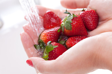 Image showing Woman Washing Strawberries