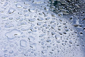 Image showing Water Drops on Glass