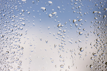 Image showing Rain Drops on Window