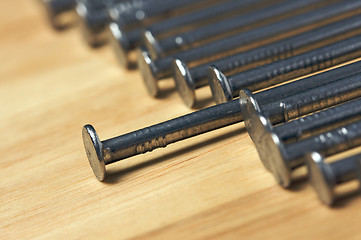 Image showing Macro of Nails on Wood