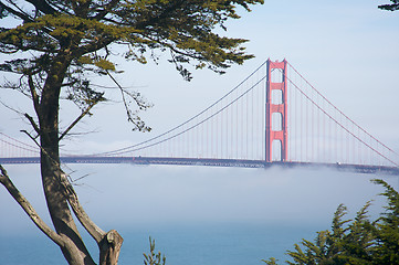 Image showing The Golden Gate Bridge in the Morning Fog