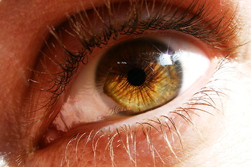 Image showing eye, my eye