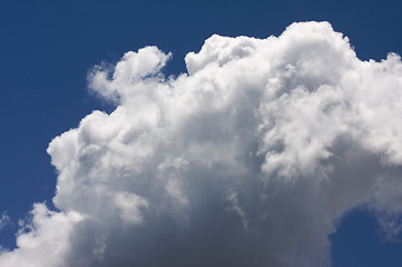 Image showing White Cumulus Clouds