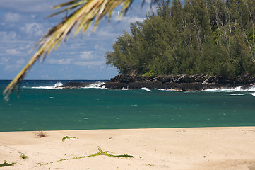 Image showing Tropical Shoreline and Trees