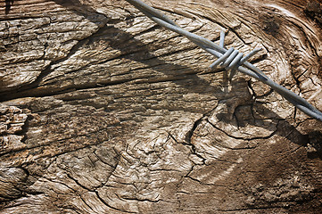 Image showing Aged Wood Texture and Barbed Wire