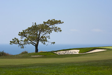 Image showing View from Torrey Pines Golf Course