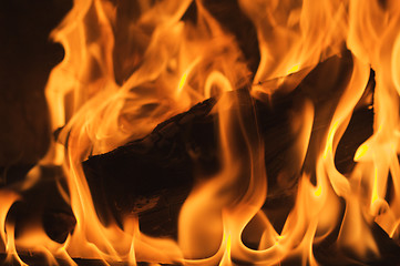 Image showing Abstract Flames