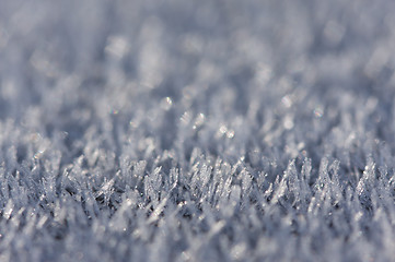 Image showing Morning Frost Crystals