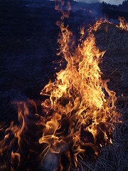 Image showing Flame