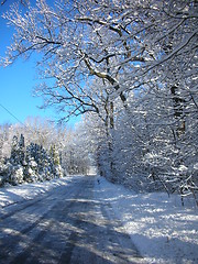 Image showing Country Lane