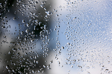 Image showing Rain Drops on Window