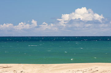 Image showing Tropical Shoreline