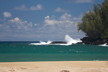 Image showing Tropical Shoreline and Trees