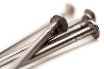 Image showing Construction Nails Isolated
