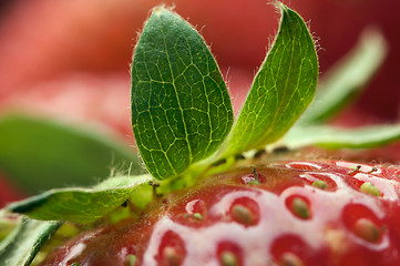 Image showing Close-up Strawberries