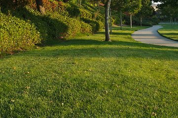 Image showing Neighborhood Sidewalk