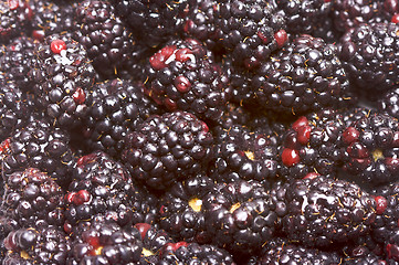 Image showing Macro Blackberries with Water Drops