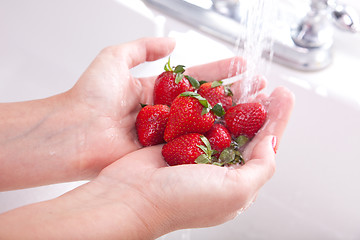 Image showing Woman Washing Strawberries