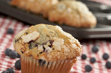 Image showing Fresh Blueberry Muffins