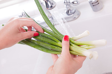 Image showing Woman Washing Onions