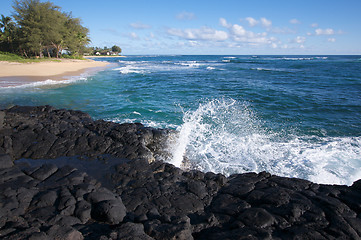 Image showing Tropical Shoreline