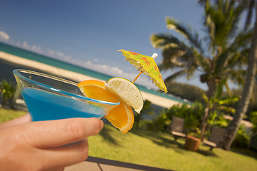 Image showing Tropical Drinks