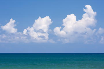 Image showing Tropical Shoreline