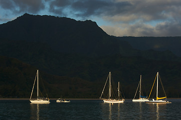 Image showing Sailboats in the Early Morning Light