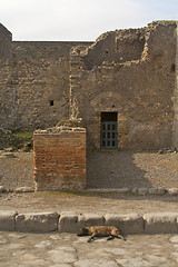 Image showing Ancient Ruins Italy