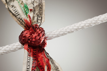 Image showing Wrinkled American Dollar Bleeding in Rope