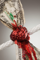 Image showing Wrinkled American Dollar Bleeding in Rope