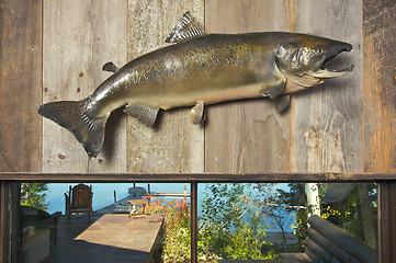 Image showing Stuffed Fish Mounted on the Wall