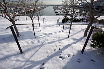 Image showing Empty Yacht Harbour on Lake Michigan