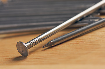 Image showing Macro of Nails on Wood