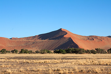 Image showing red dunes of sossusvlei