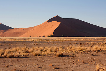 Image showing red dunes of sossusvlei