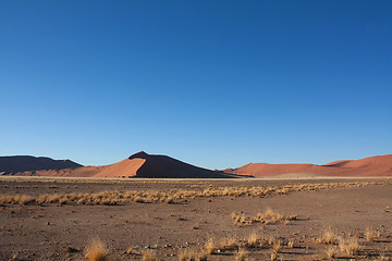 Image showing red dunes of sossusvlei