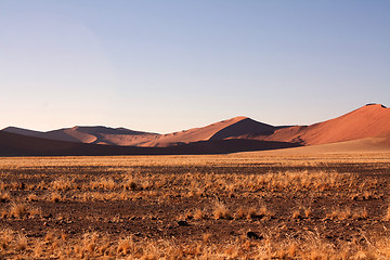 Image showing red dunes of sossusvlei