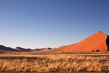 Image showing red dunes of sossusvlei