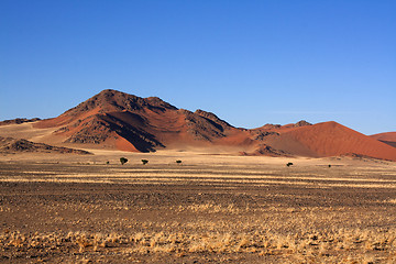 Image showing red dunes of sossusvlei