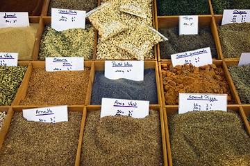 Image showing Different spices