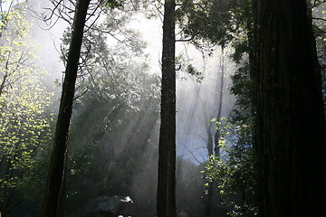 Image showing Brideveil Falls Mist in Yosemite