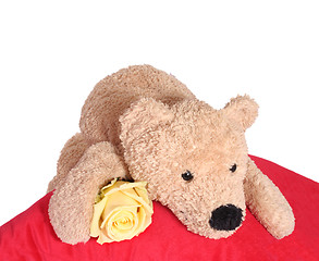 Image showing Bear with rose