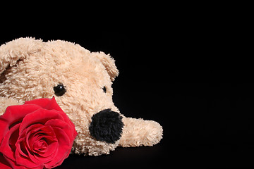 Image showing Bear with rose
